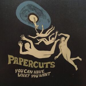 Papercuts - You Can Have What You Want  LP LP